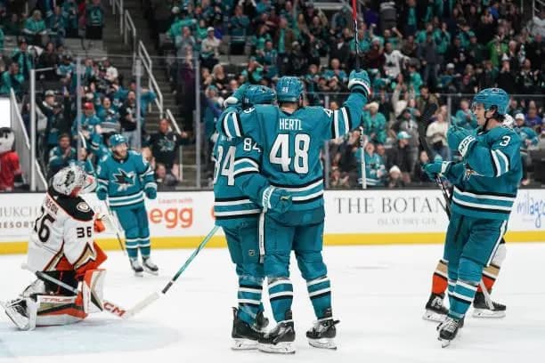 Sharks players celebrating