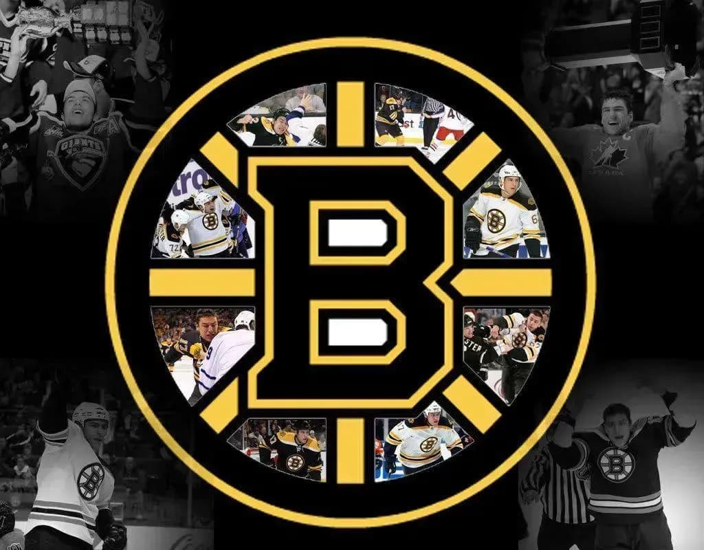 Boston Bruins logo