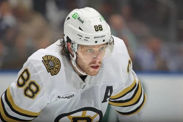 David Pastrnak