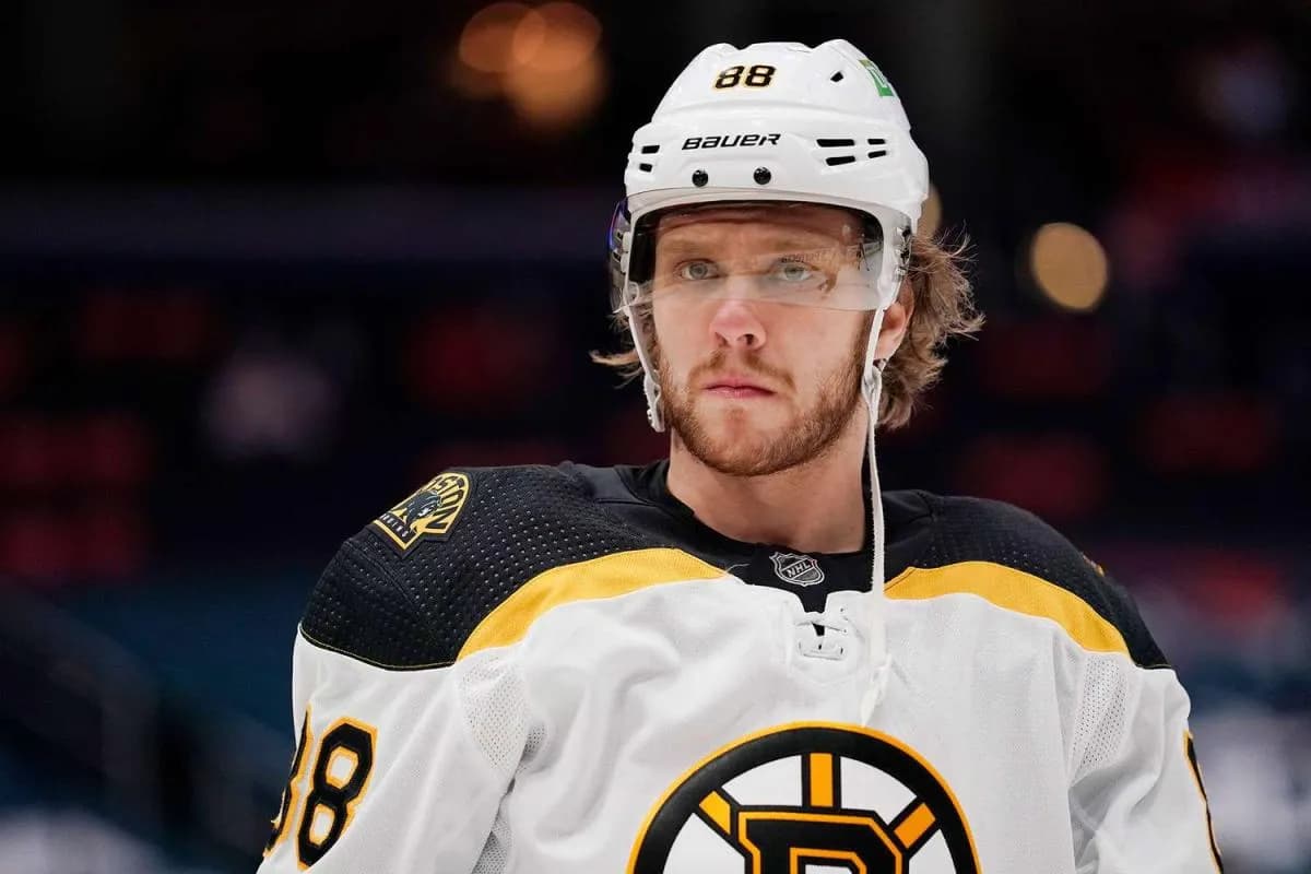 David Pastrnak