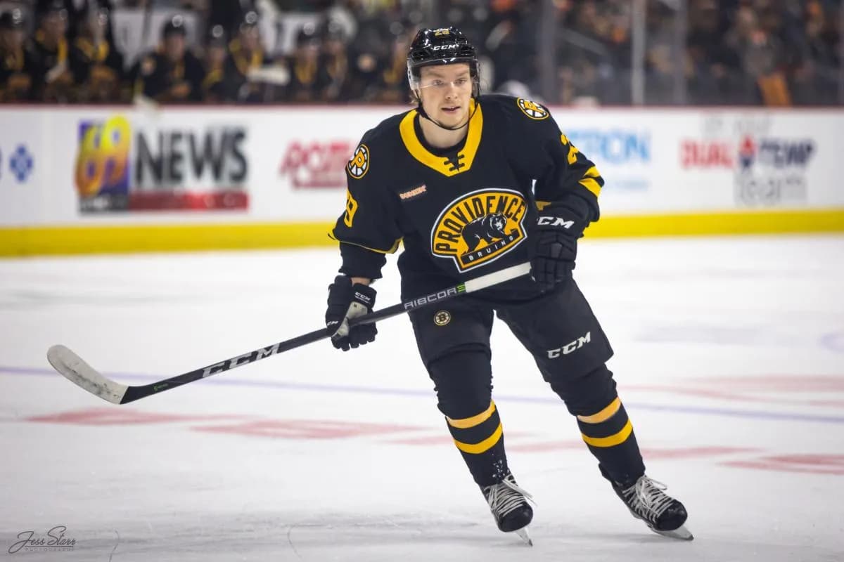 Former Bruins prospect Oskar Steen