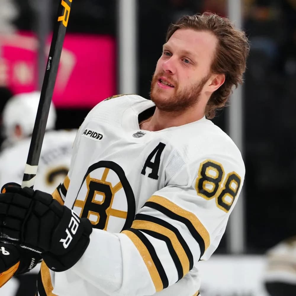 Bruins superstar David Pastrnak