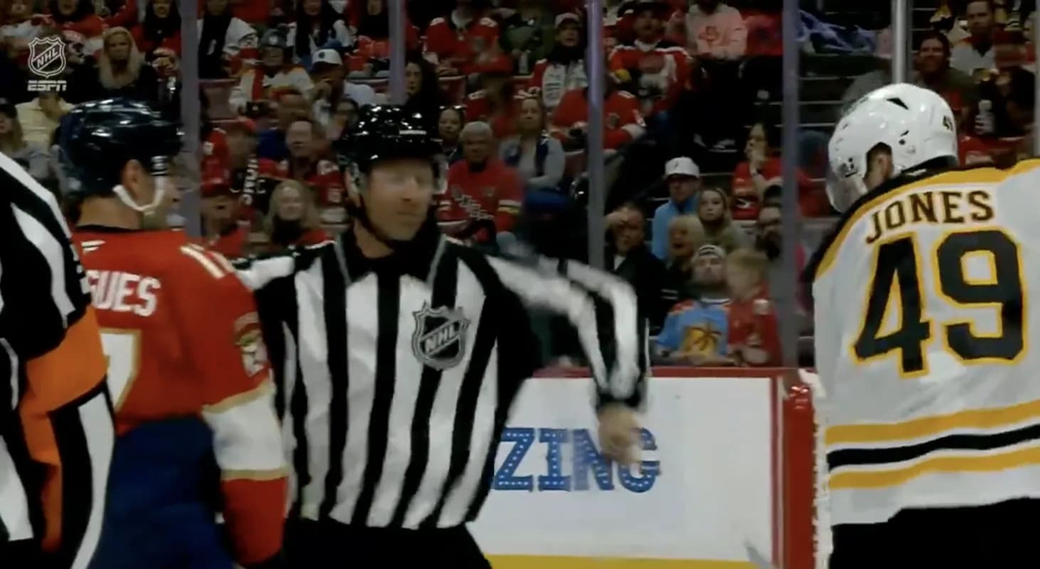 Max Jones slashing a NHL ref