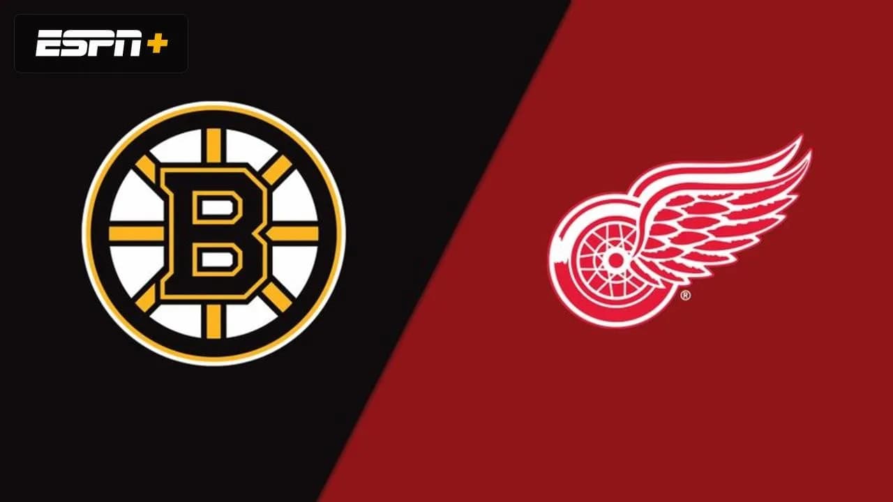 Boston Bruins vs Detroit Red Wings