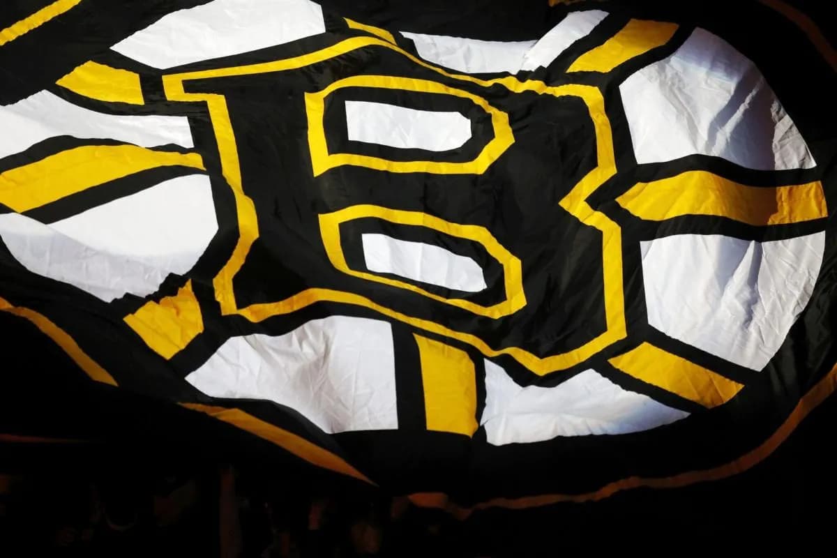 Bruins flag
