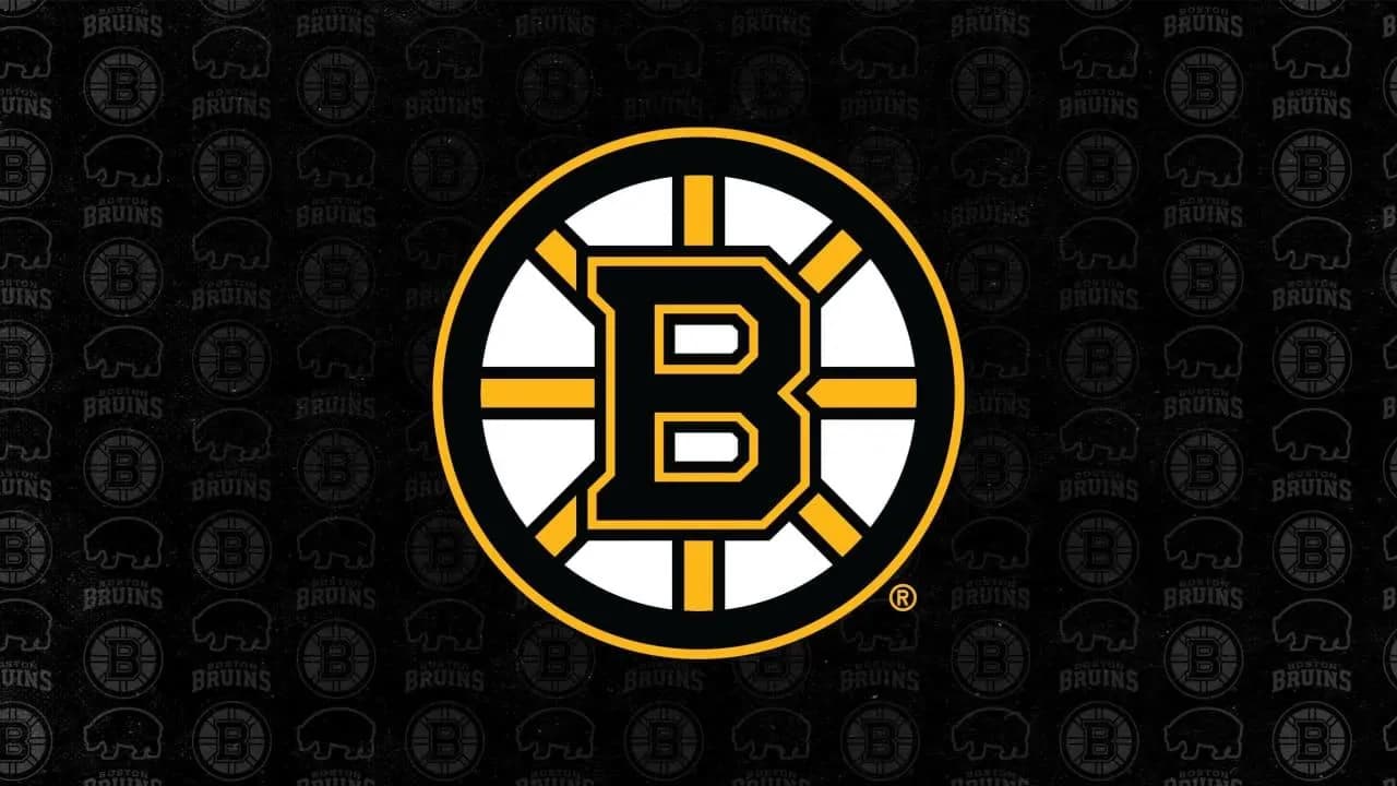 Boston Bruins