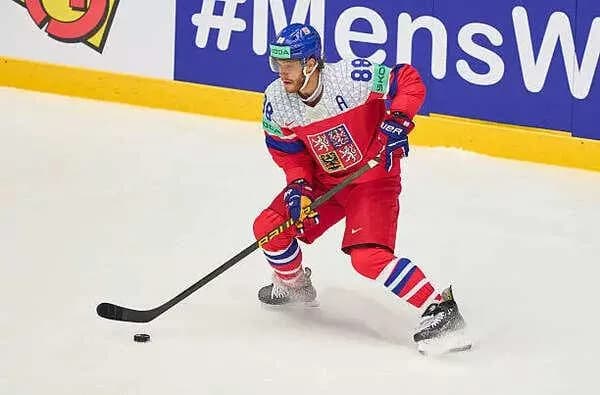 David Pastrnak