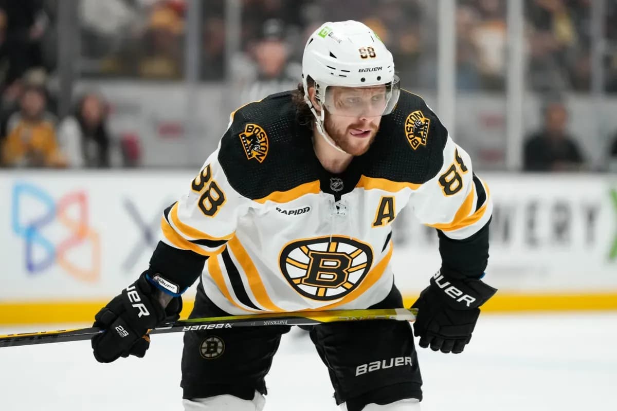 David Pastrnak