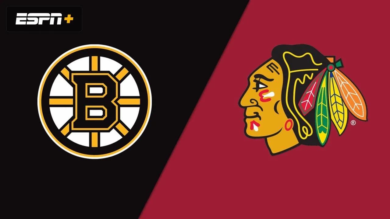Blackhawks and Bruins logo