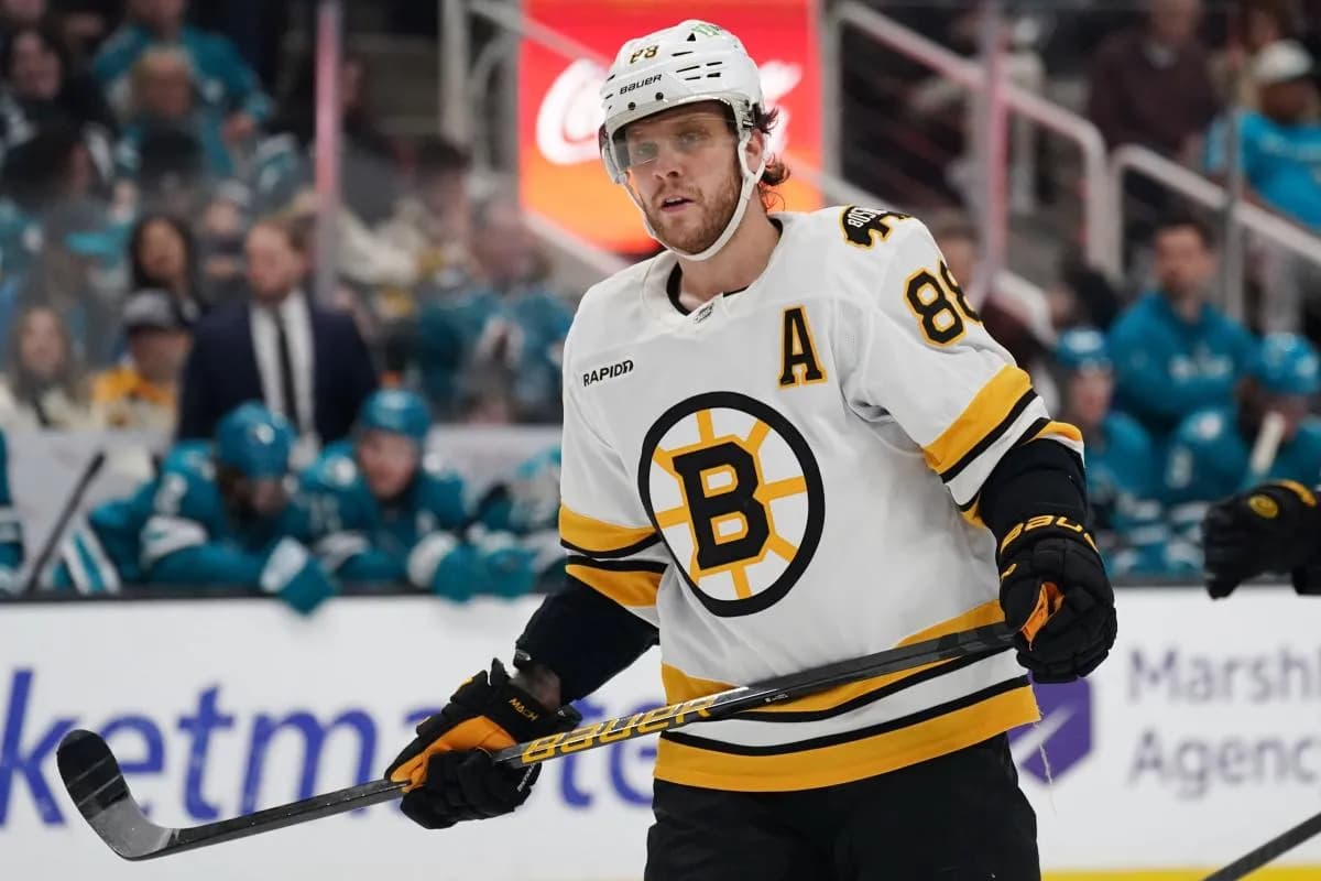 Boston Bruins right winger David Pastrnak (88) waits for play to resume against the San Jose Sharks in the first period at SAP Center in San Jose.