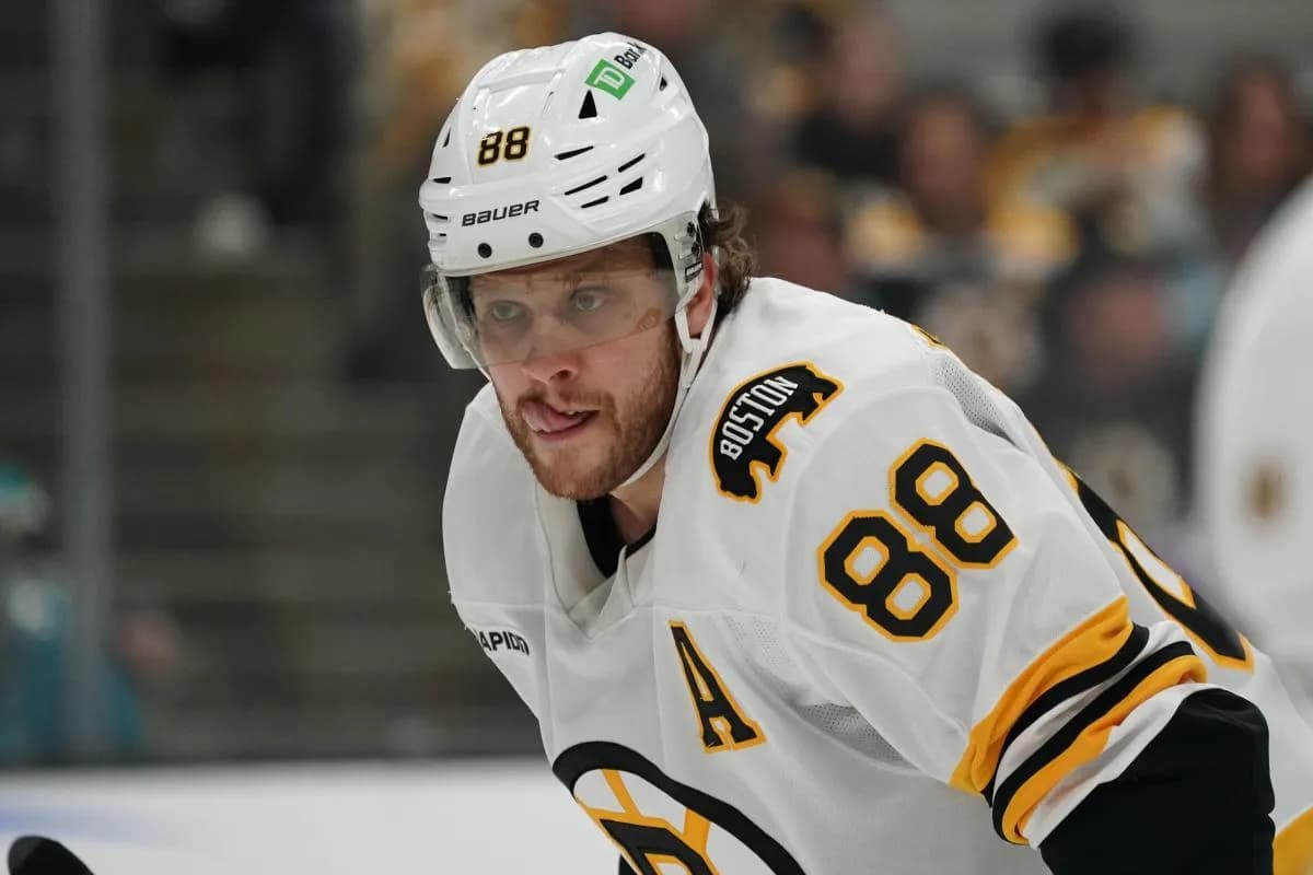 Boston Bruins right winger David Pastrnak (88) waits for play to resume against the San Jose Sharks in the first period at SAP Center in San Jose.