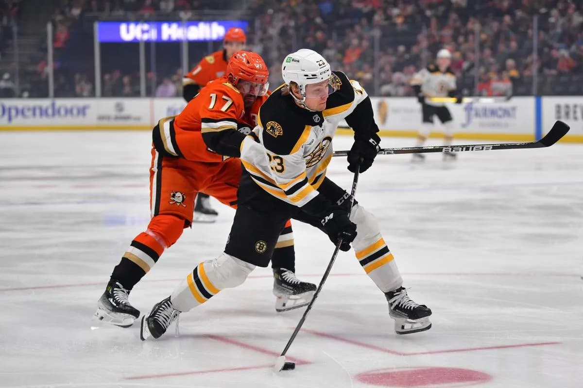 Boston Bruins right wing Fabian Lysell (23) moves in for a shot ahead of Anaheim Ducks left wing Alex Killorn (17) during the first period at Honda Center.