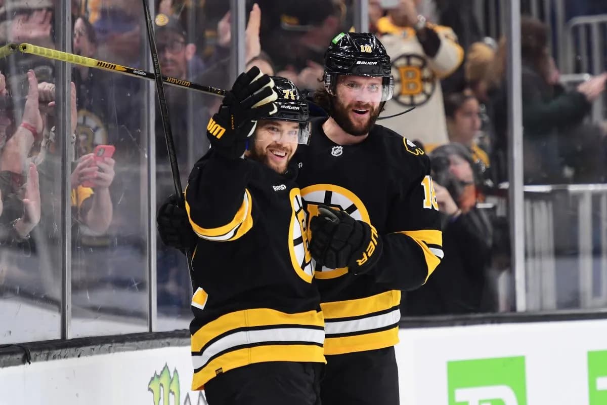 Boston Bruins center Pavel Zacha (18) reacts with left wing Viktor Arvidsson (71) after scoring a goal during the first period against the Minnesota Wild at TD Garden.