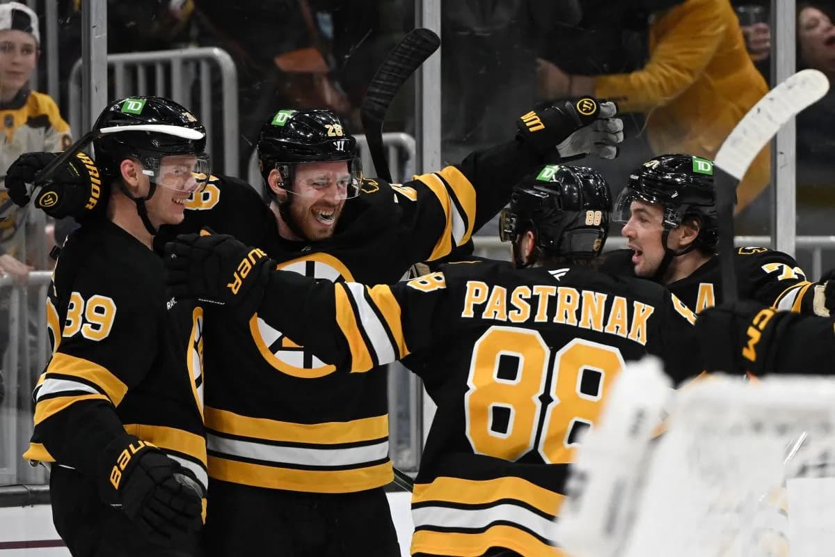 Boston Bruins center Elias Lindholm (28) reacts after scoring a goal against the Dallas Stars during the third period at the TD Garden.