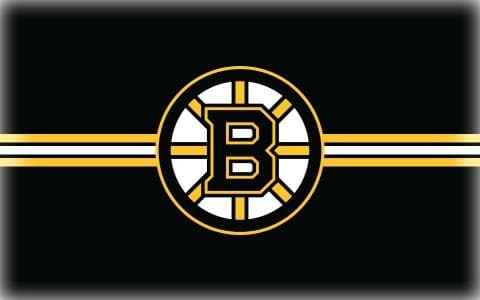 Boston Bruins logo