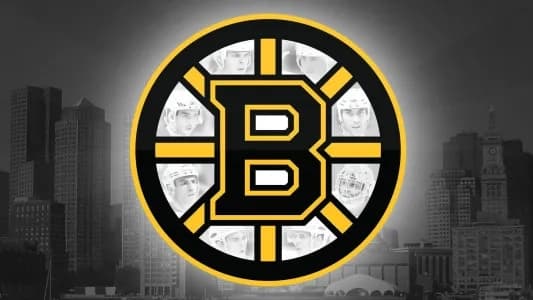 Boston Bruins spiked B