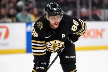 David Pastrnak