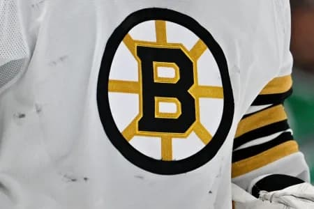 Boston Bruins jersey logo