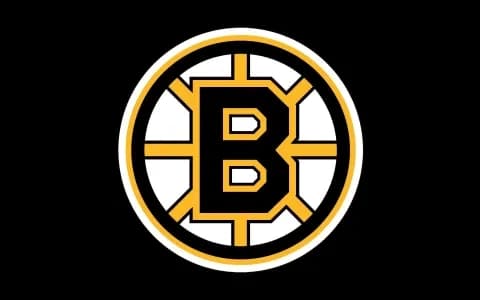 Boston Bruins logo