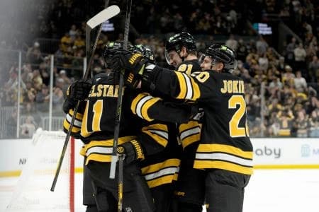 Boston Bruins left-winger Viktor Arvidsson (71) celebrates a score during the first period of the game against the Pittsburgh Penguins at TD Garden.