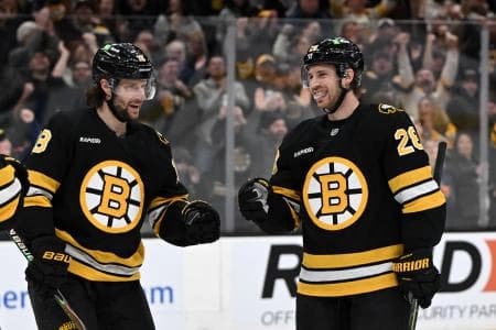 Boston Bruins center Elias Lindholm (28) celebrates with center Pavel Zacha (18) after scoring a goal against the Vegas Golden Knights during the first period at the TD Garden.