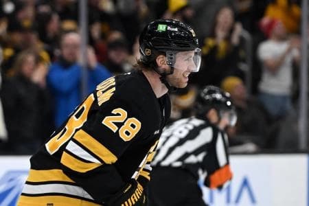 Boston Bruins center Elias Lindholm (28) reacts after scoring a goal against the Vegas Golden Knights during the first period at the TD Garden.