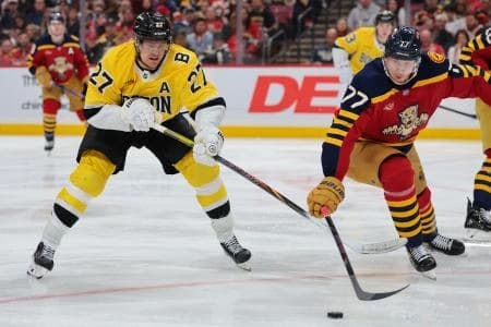 Boston Bruins defenseman Hampus Lindholm (27) and Florida Panthers defenseman Niko Mikkola (77) battle for the puck during the second period at Amerant Bank Arena.