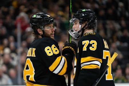 Boston Bruins right-winger David Pastrnak (88) and defenseman Charlie McAvoy (73) talk during a stop in play during the second period of the game against the Detroit Red Wings at TD Garden.
