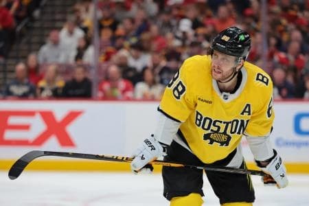 Boston Bruins right wing David Pastrnak (88) looks on against the Florida Panthers during the second period at Amerant Bank Arena.