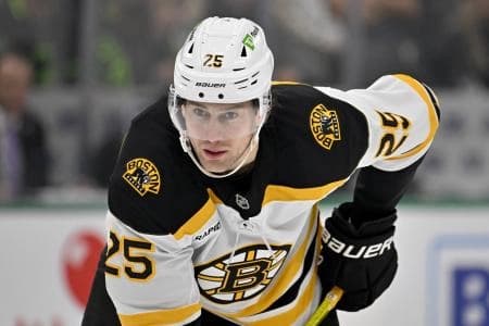 Boston Bruins defenseman Brandon Carlo (25) in action during the game between the Dallas Stars and the Boston Bruins at the American Airlines Center.
