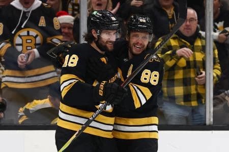Boston Bruins center Pavel Zacha (18) celebrates with right wing David Pastrnak (88) after scoring against the Edmonton Oilers during the first period at TD Garden.