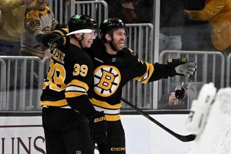Boston Bruins center Elias Lindholm (28) reacts after scoring a goal against the Dallas Stars during the third period at the TD Garden.