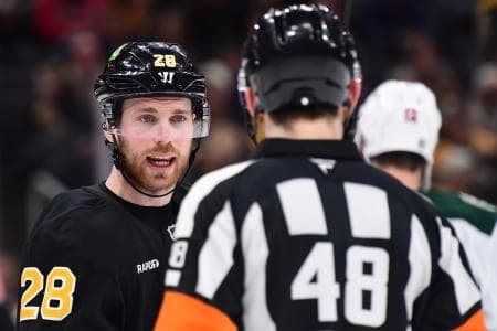 Boston Bruins center Elias Lindholm (28) speaks to the referee during the third period against the Minnesota Wild at TD Garden.