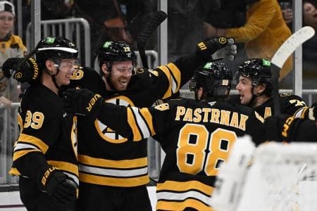 Boston Bruins center Elias Lindholm (28) reacts after scoring a goal against the Dallas Stars during the third period at the TD Garden.