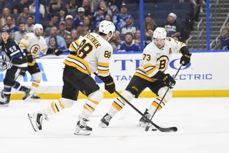 Boston Bruins right wing David Pastrnak (88) and defenseman Charlie Mcavoy (73) skate during the third period against Tampa Bay Lightning at Benchmark International Arena.