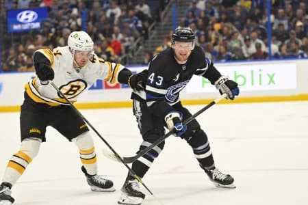 Tampa Bay Lightning defenseman Darren Raddysh (43) battle for the puck against Boston Bruins center Casey Mittelstadt (11) during the second period at Benchmark International Arena.