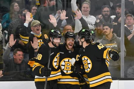 Boston Bruins right wing David Pastrnak (88) celebrates a goal against Alex Nedeljkovic (not pictured) with center Pavel Zacha (18) and defenseman Frederic Brunet (42) during the third period at TD Garden.