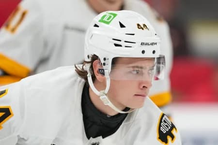 Boston Bruins center James Hagens (44) looks on against the Carolina Hurricanes during the third period at Lenovo Center.
