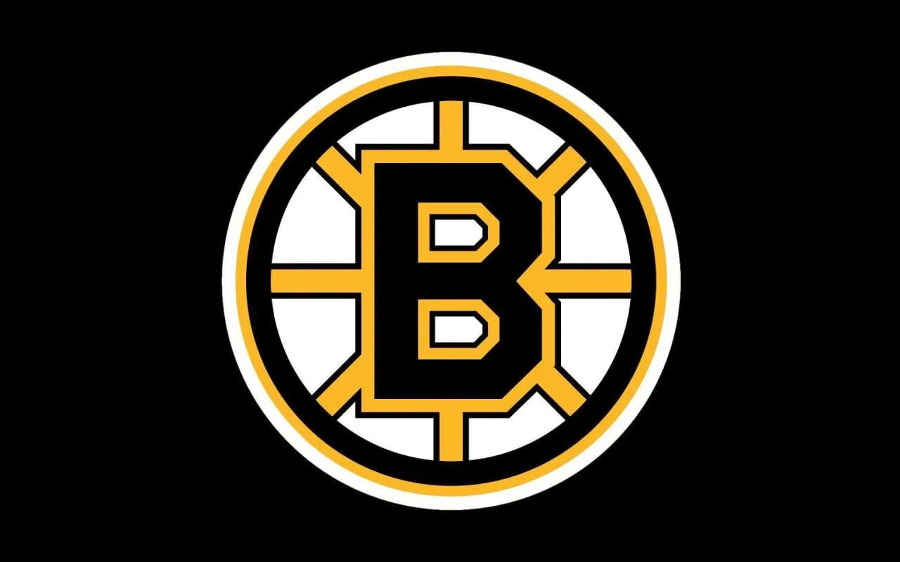 Official Boston Bruins logo