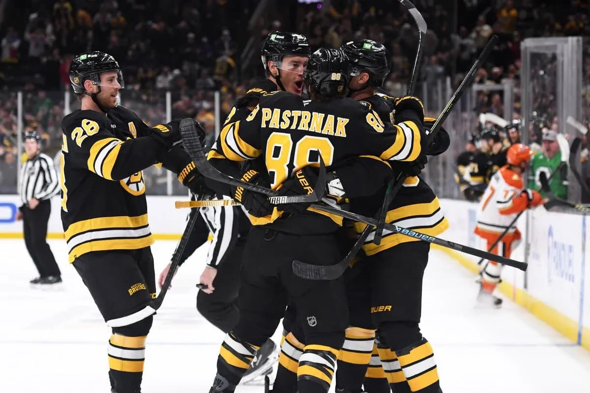 Boston Bruins defenseman Nikita Zadorov (91) reacts after a goal by center Morgan Geekie (39) during the third period against the Anaheim Ducks at TD Garden.