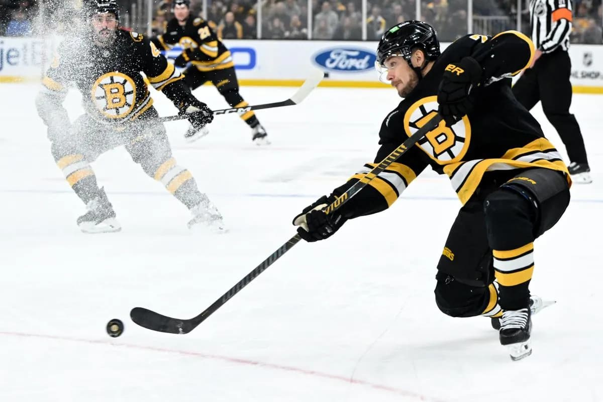 Boston Bruins left wing Viktor Arvidsson (71) attempts a shot against the Ottawa Senators during the first period at the TD Garden.