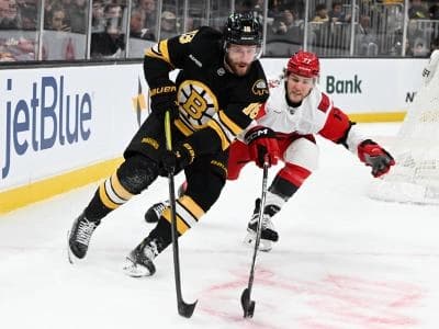 Boston Bruins center Pavel Zacha (18) skates against Carolina Hurricanes left wing Mark Jankowski (77) during the second period at the TD Garden.