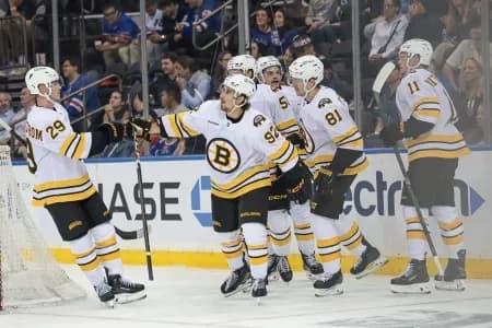 The Boston Bruins