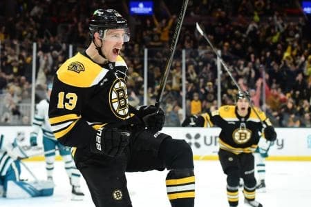 Boston Bruins center Charlie Coyle (13) reacts after scoring his second goal of the game during the third period against the San Jose Sharks at TD Garden.