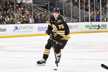 Boston Bruins forward Lukas Reichel (75) controls the puck against the Winnipeg Jets during the third period at TD Garden
