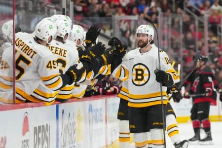 Boston Bruins center Pavel Zacha (18) celebrates his goal against the Carolina Hurricanes during the third period at Lenovo Center.