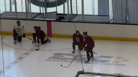 James Hagens, Lukas Reichel, and Alex Steeves