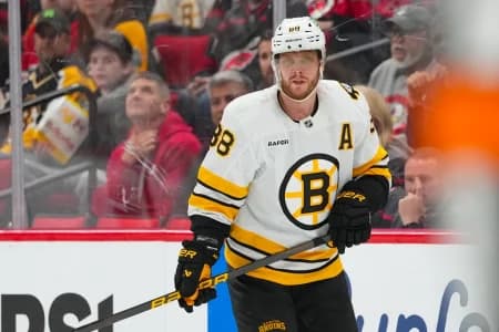 Boston Bruins right wing David Pastrnak (88) watches the play against the Carolina Hurricanes during the third period at Lenovo Center.