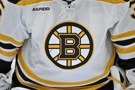 A view of the Boston Bruins logo during the game between the Dallas Stars and the Boston Bruins at American Airlines Center.